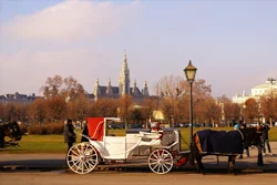 Umzug Berlin Wien preiswert